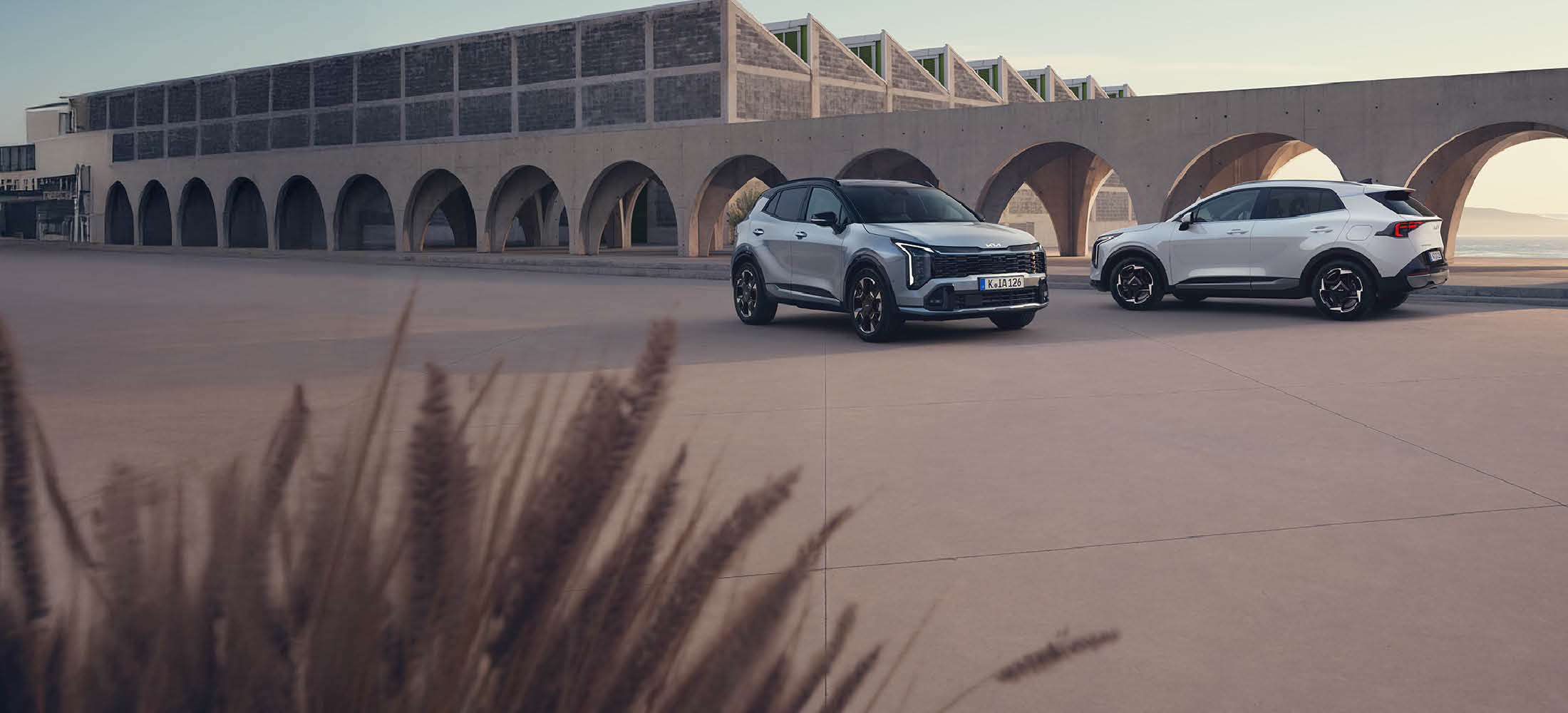 Zwei Kia-E-Modelle stehen auf einer Straße mit Landschaft im Hintergrund